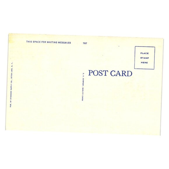 Main Building Hedges Blue Mountain Lake NY Adirondack Mountains Vintage Postcard - Picture 2 of 2